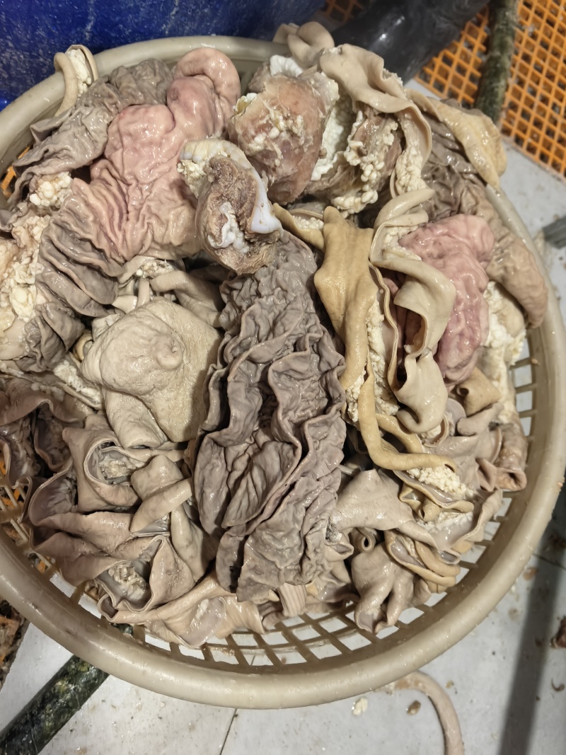 厂家批发国产清水煮，全熟牛肠散带大肠小肠宽肠