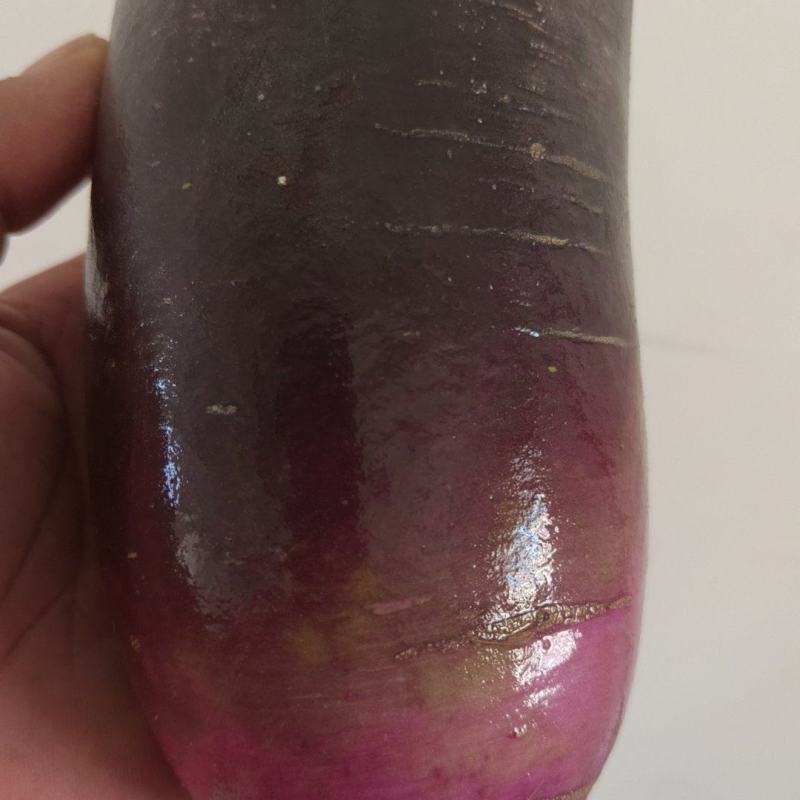 红皮冰激凌水果萝卜脆甜可口，多汁，产地直发大吨位供应