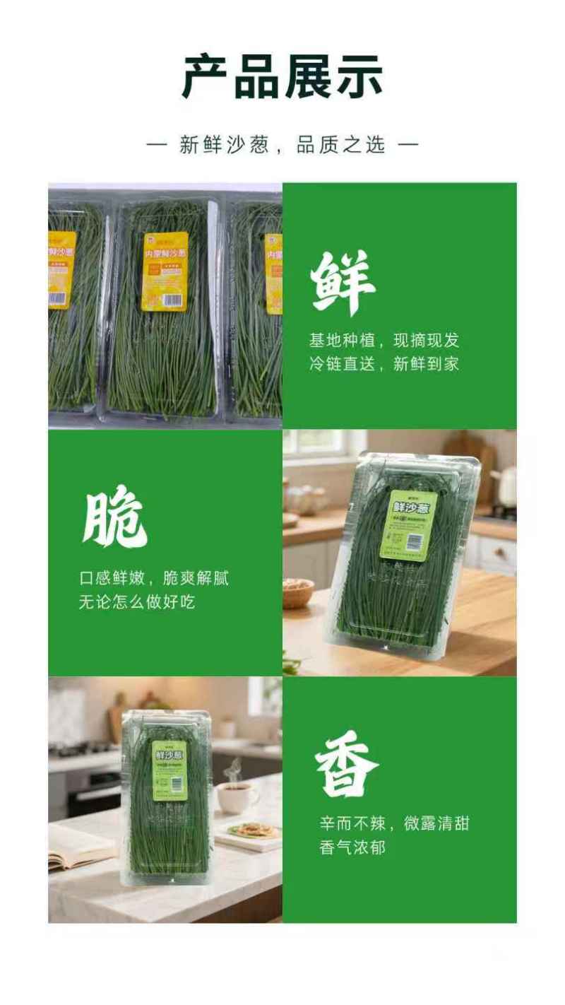 内蒙古蒙鸿义沙葱，实力产销企业，打造全国