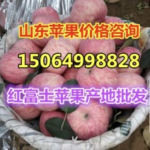 红富士苹果山东苹果产地直发价格低，质量好！信誉好！
