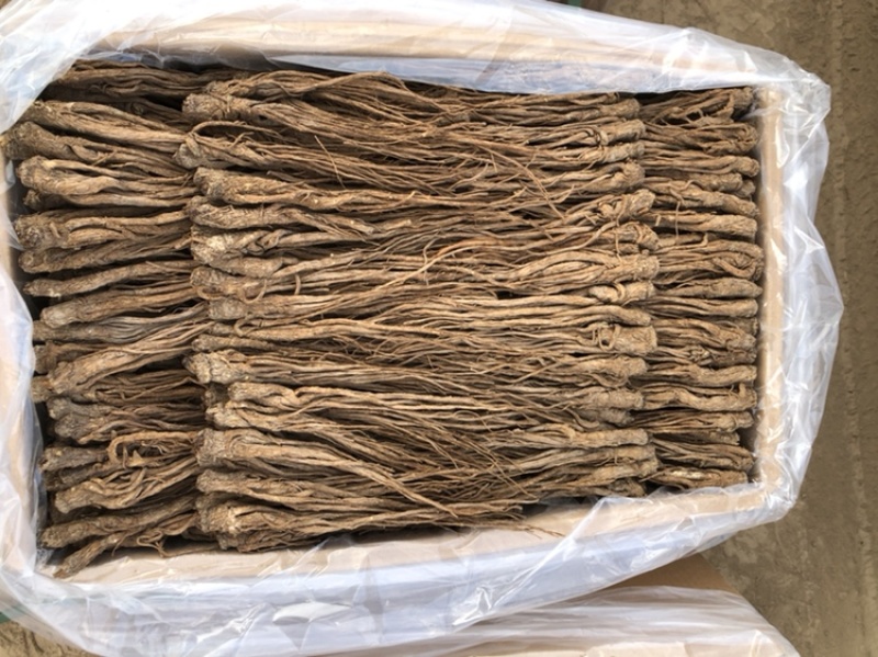 【全网低价】正品当归产地直发中药品质值得信赖