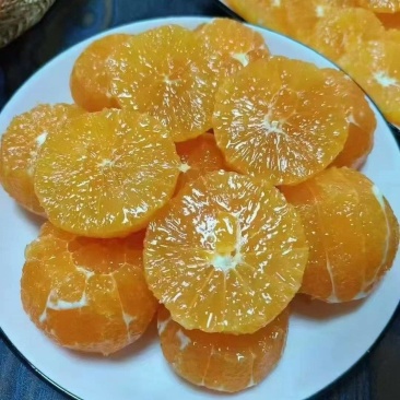 正宗奉节脐橙，产地直发，全国供货，可对接各大商超批发市场