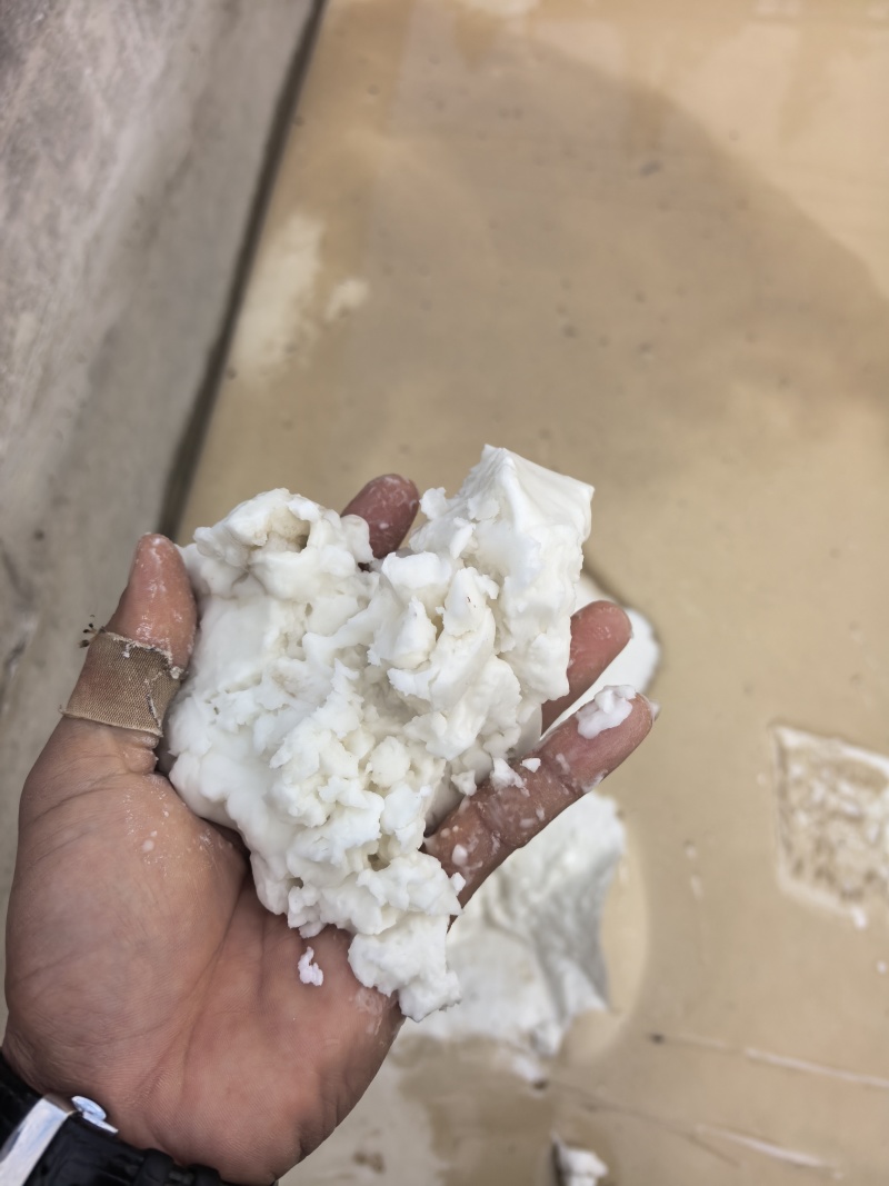 老品种芭蕉芋湿粉