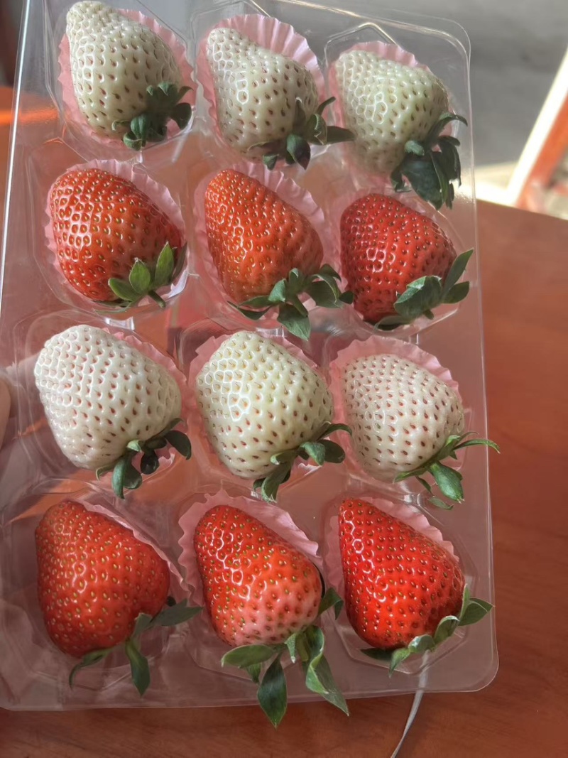 彩色草莓三色草莓