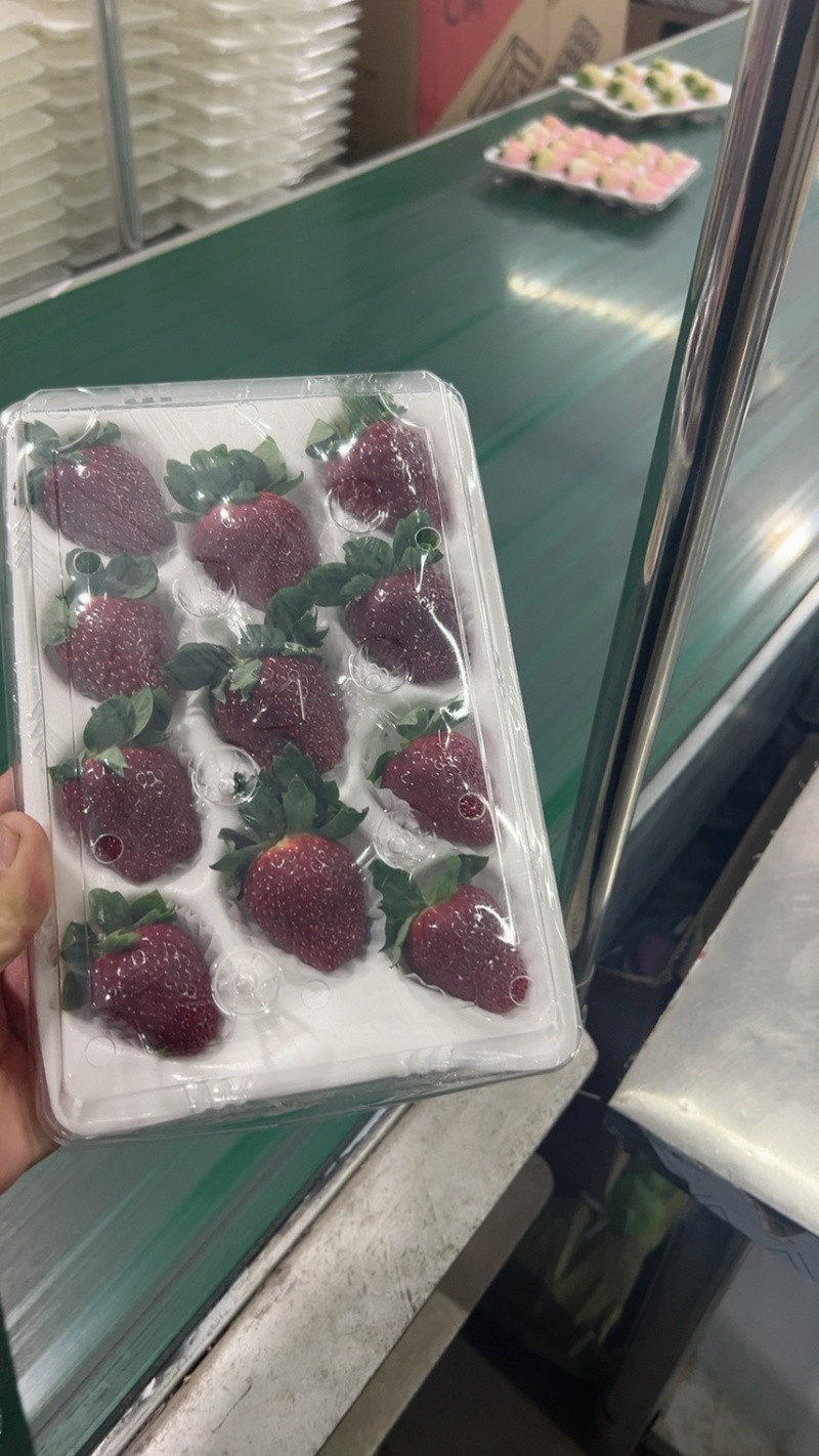 彩色草莓三色草莓