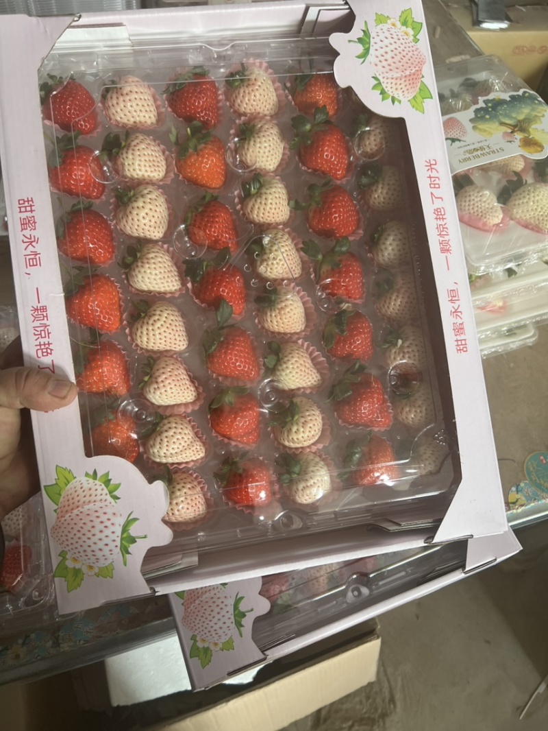 彩色草莓三色草莓