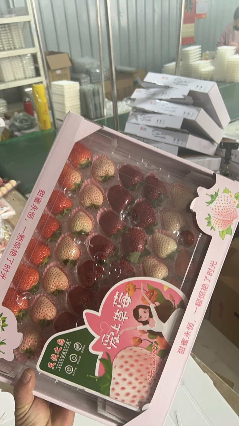 彩色草莓三色草莓