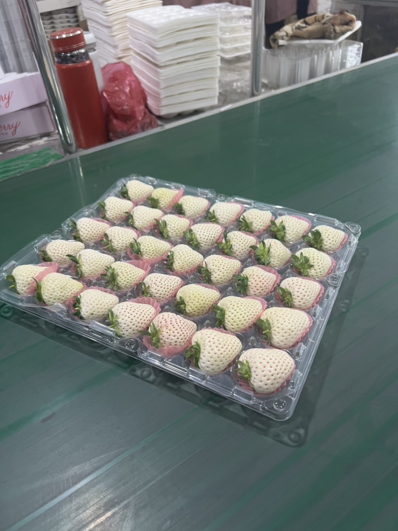 彩色草莓三色草莓