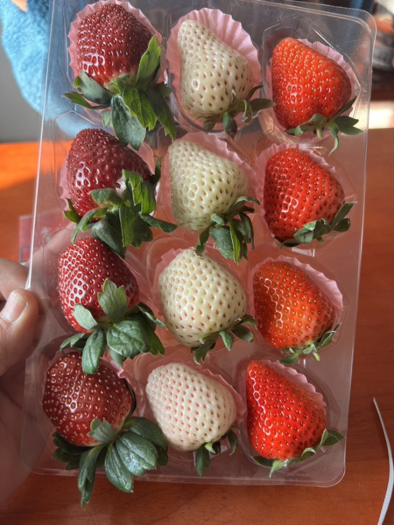 彩色草莓三色草莓