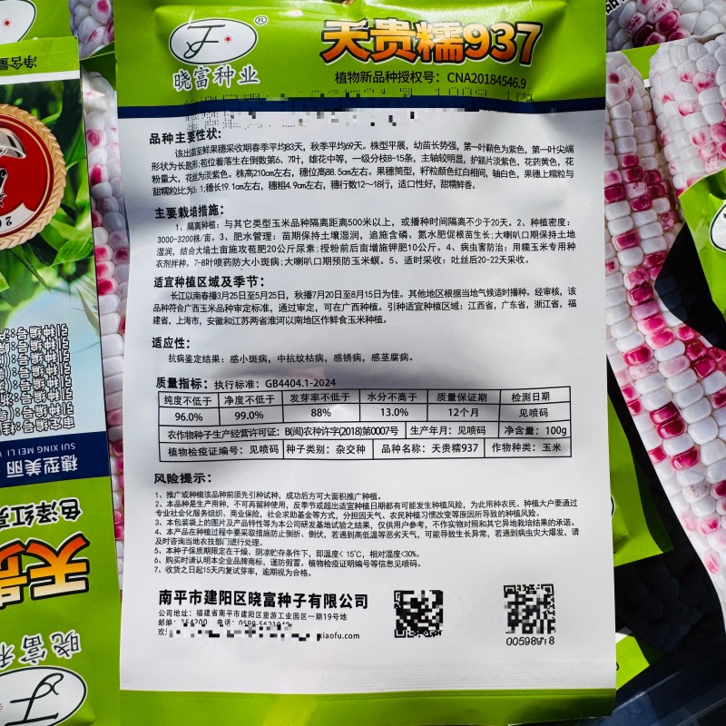 天贵糯937玉米种子宝马彩甜糯玉米种子大棒高产Q弹软糯