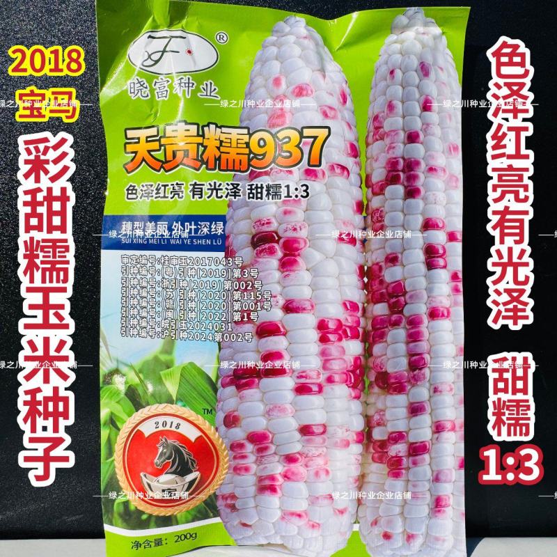 晓富彩甜糯玉米种子2018宝马甜糯玉米种子大棒鲜食苞米种