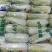 娃娃菜湖北娃娃菜产地直发品质保障大量供应对接全国