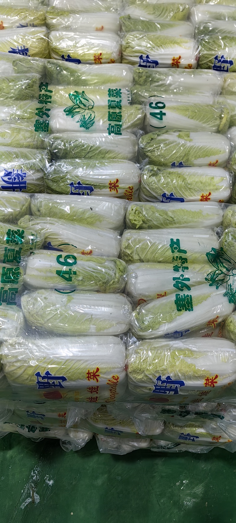 娃娃菜湖北娃娃菜产地直发品质保障大量供应对接全国