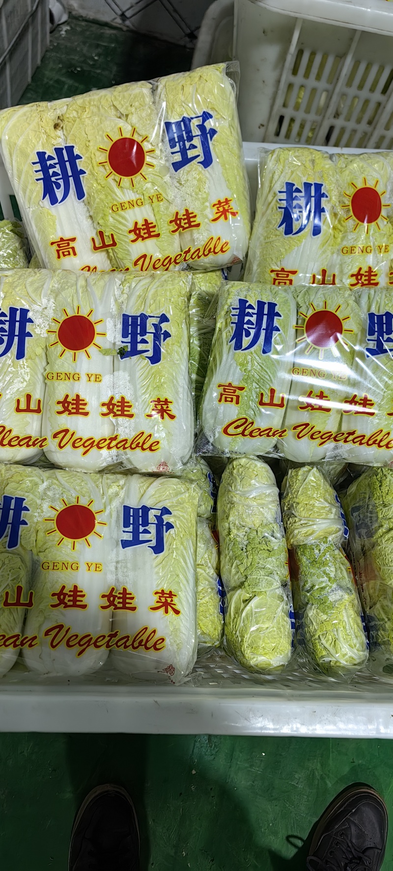 娃娃菜湖北娃娃菜产地直发品质保障大量供应对接全国