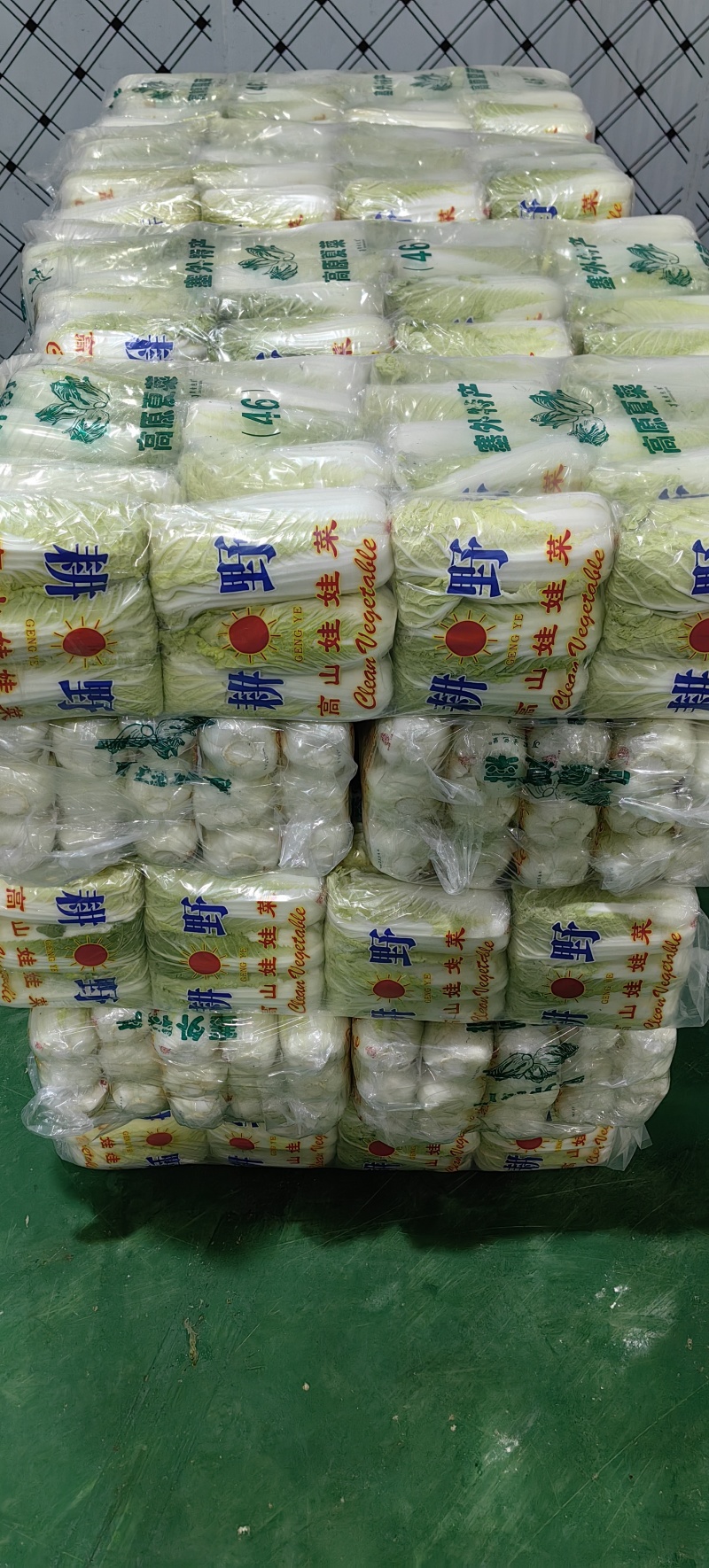 娃娃菜湖北娃娃菜产地直发品质保障大量供应对接全国