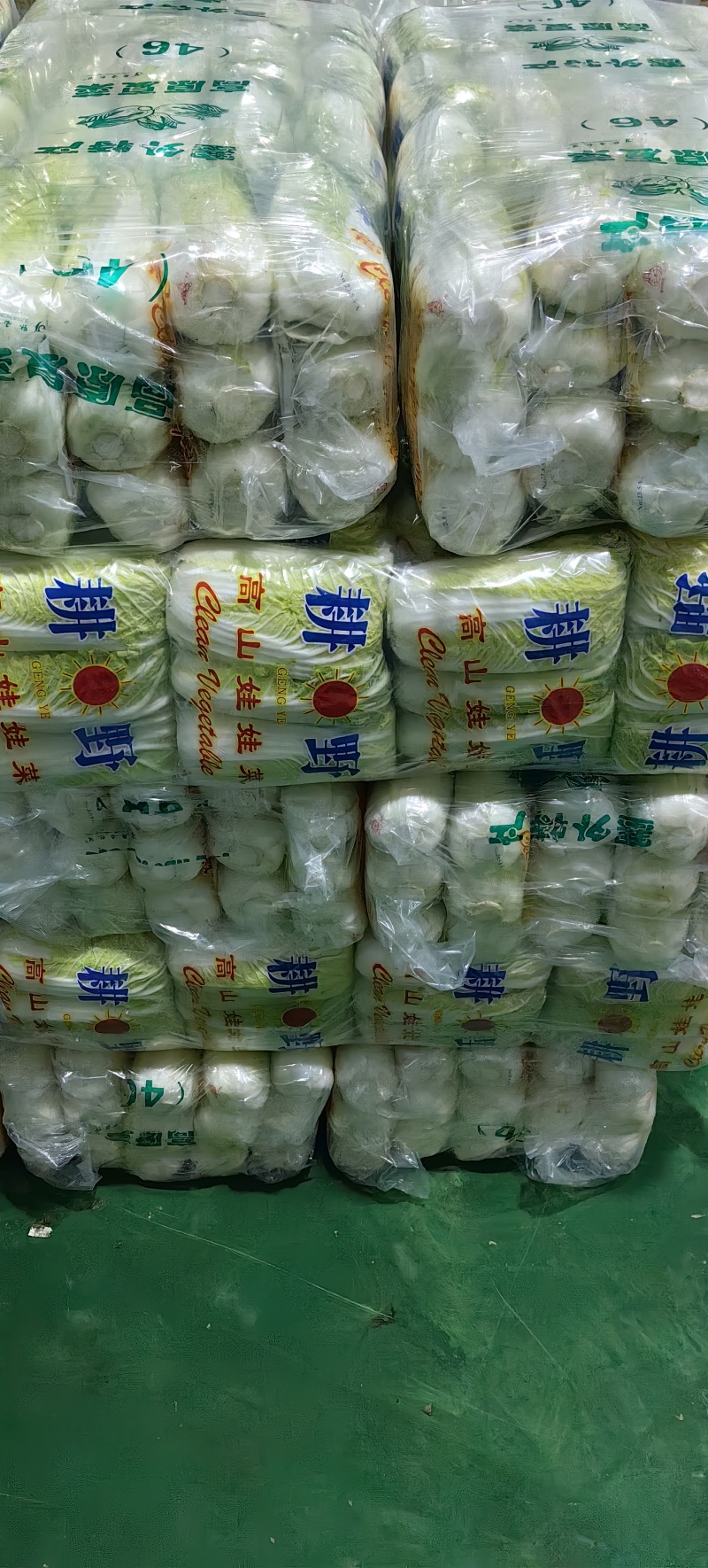 娃娃菜湖北娃娃菜产地直发品质保障大量供应对接全国