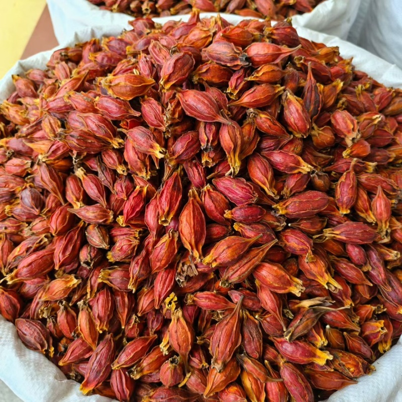 【包邮】山西精选大果水枙子食用卤菜上色天然色素调味香辛料