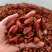 【包邮】山西精选大果水枙子食用卤菜上色天然色素调味香辛料