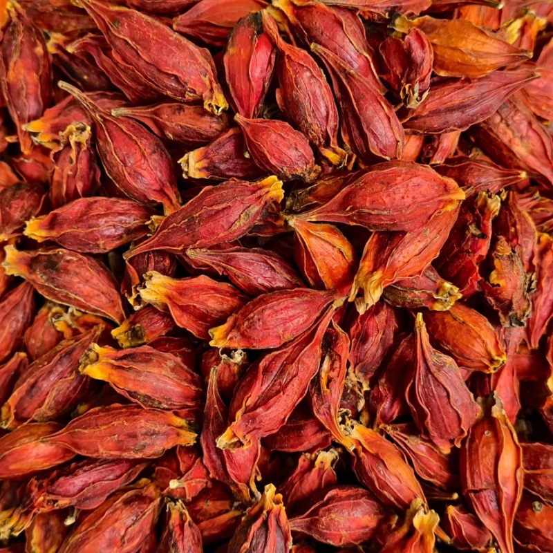 【包邮】山西精选大果水枙子食用卤菜上色天然色素调味香辛料