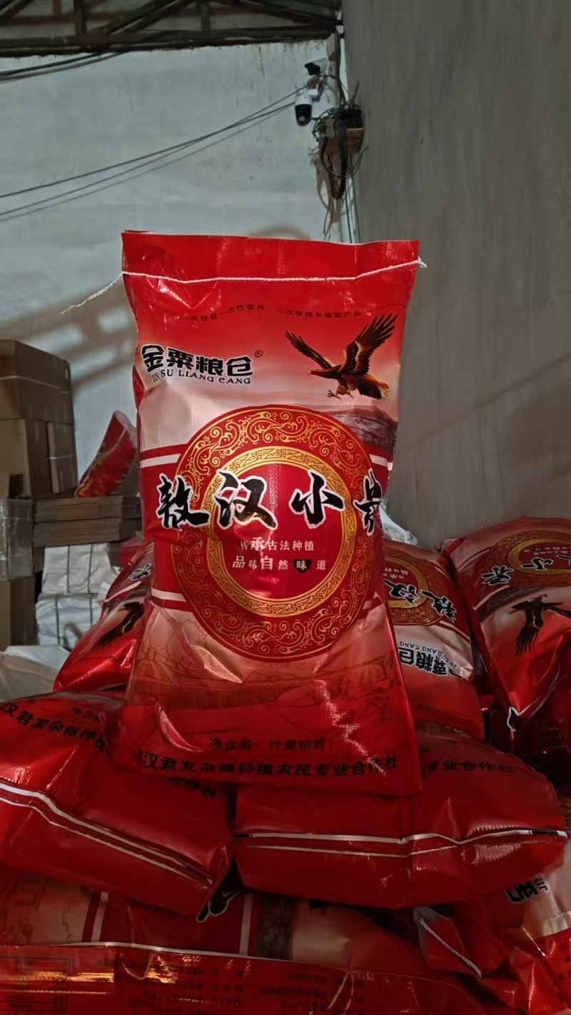 山地小米