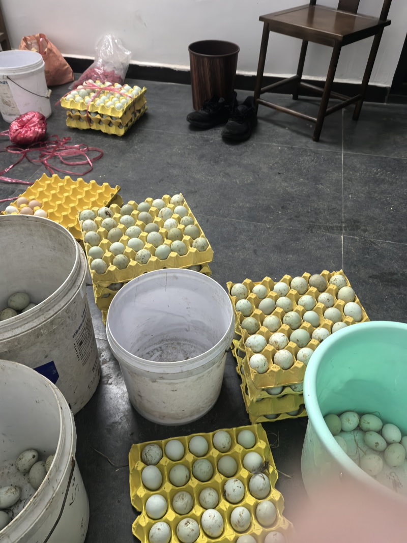 正宗散养绿壳土鸡蛋