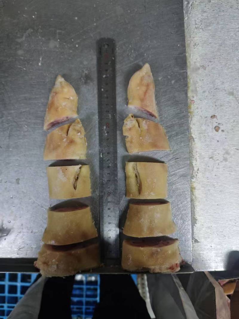 猪蹄