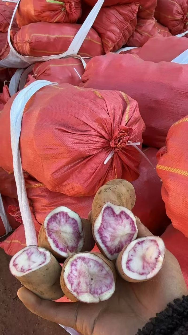 云南七彩土豆大量供应基地直发对接全国量大从优