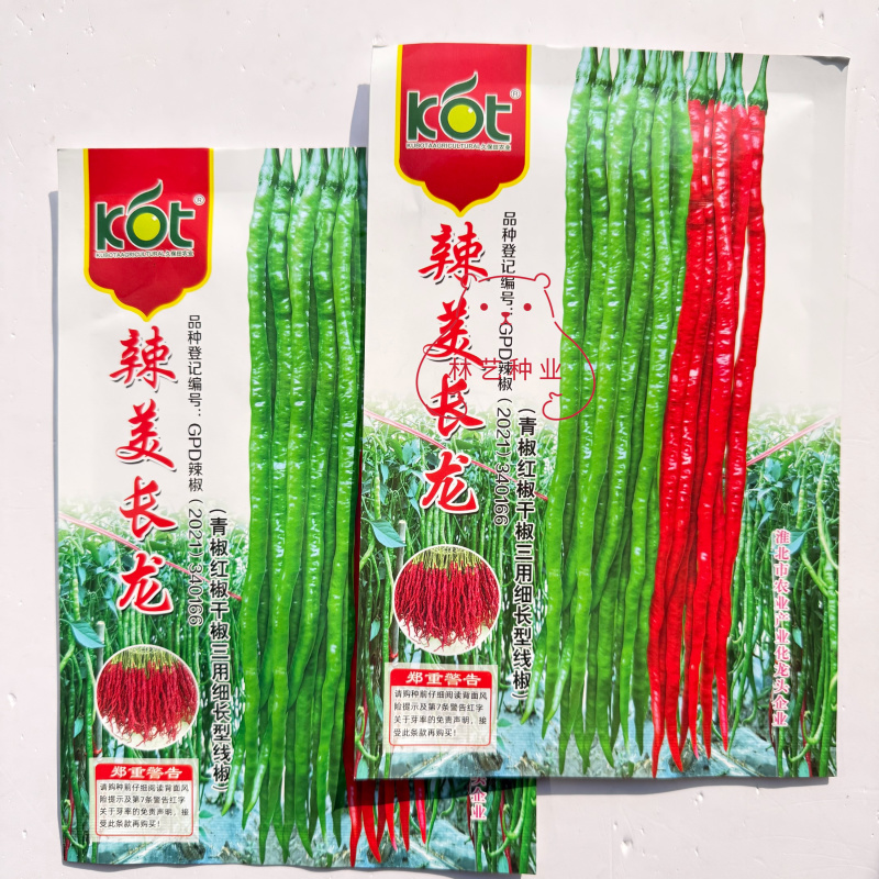辣美长龙超长细长线椒种子辣椒种子高产抗病辣味香浓基地专用