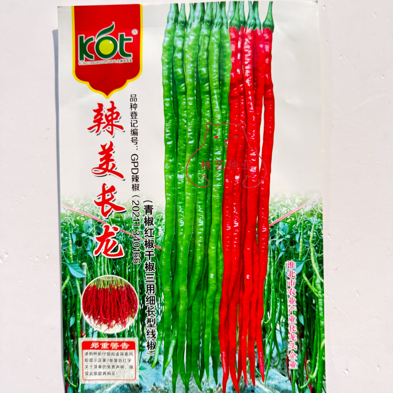 辣美长龙超长细长线椒种子辣椒种子高产抗病辣味香浓基地专用