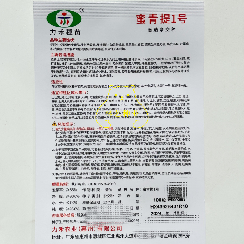 蜜青提1号小番茄种子水果千禧樱桃番茄种籽早春越夏耐热高