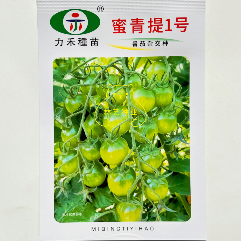 蜜青提1号小番茄种子水果千禧樱桃番茄种籽早春越夏耐热高