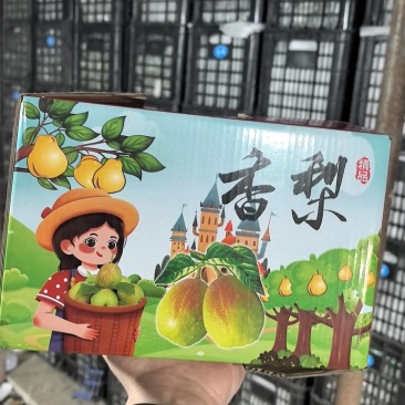 香梨礼盒，源头工厂价格便宜保质保量包售后，质量三包