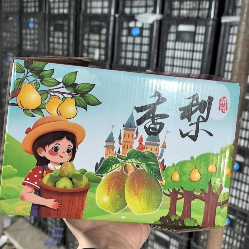 香梨礼盒，源头工厂价格便宜保质保量包售后，质量三包
