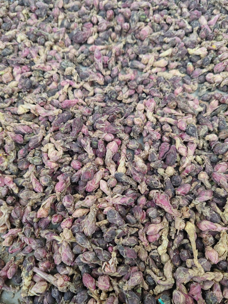 精品款冬花