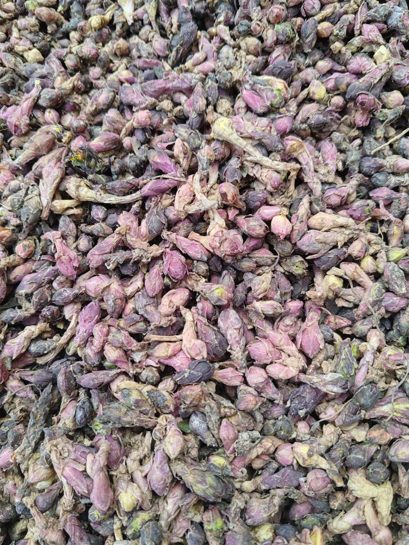 精品款冬花