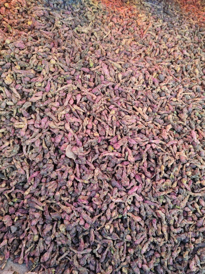精品款冬花