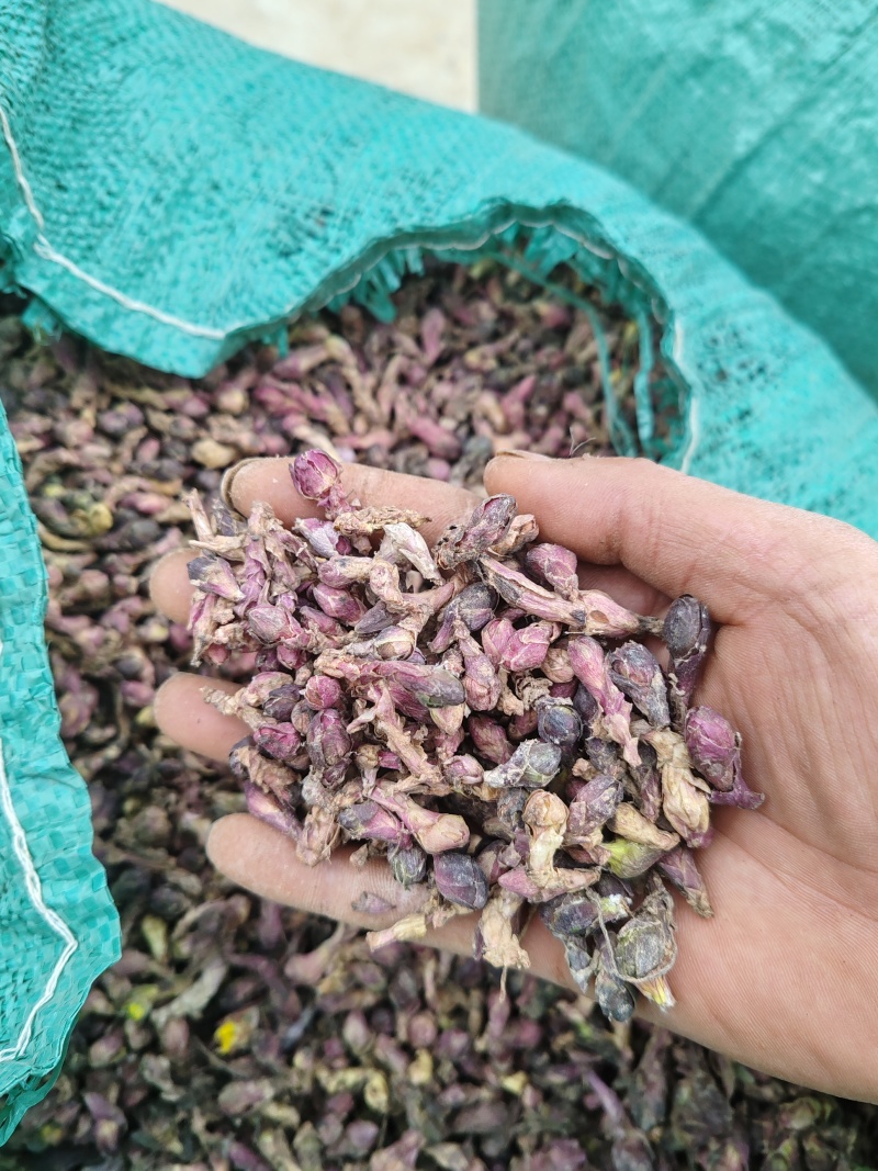 精品款冬花