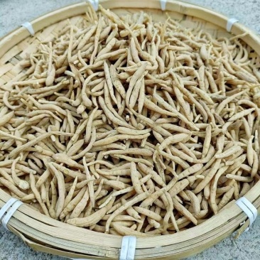 中药材正品太子参孩儿参四叶参孩童参无硫煲汤滋补批发零售