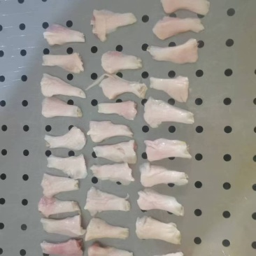 鸭脚筋
