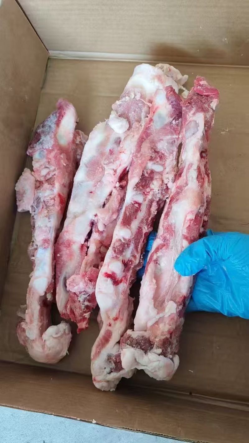 猪胸骨