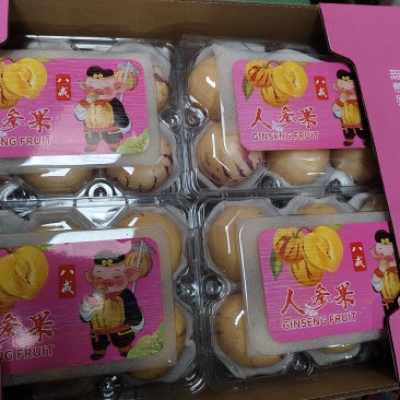 云南石林人生果品质保证现摘现发支持视频看货欢迎来电