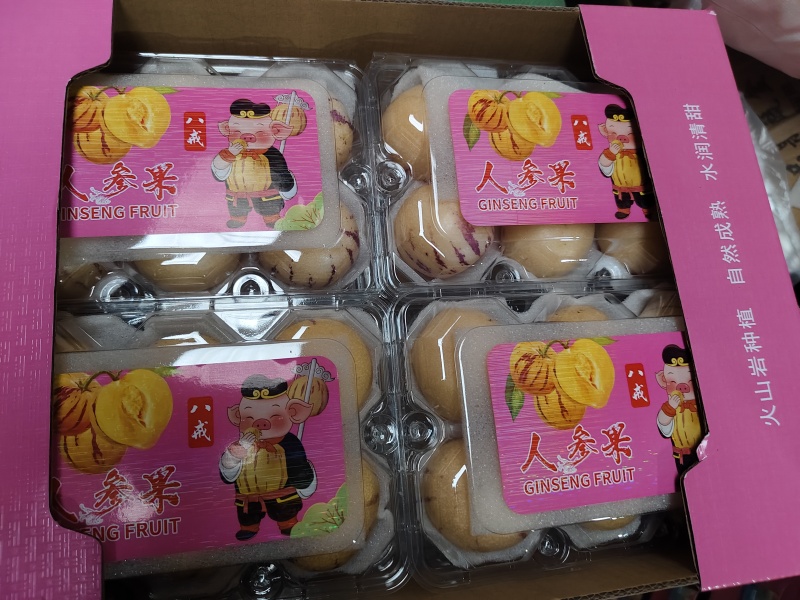 云南石林人生果品质保证现摘现发支持视频看货欢迎来电
