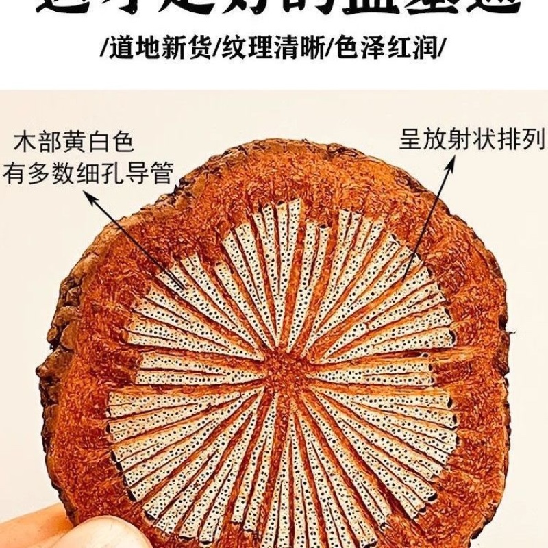 中药材血塞通大血藤脑血通可食用通红红藤滋补老藤各种规格