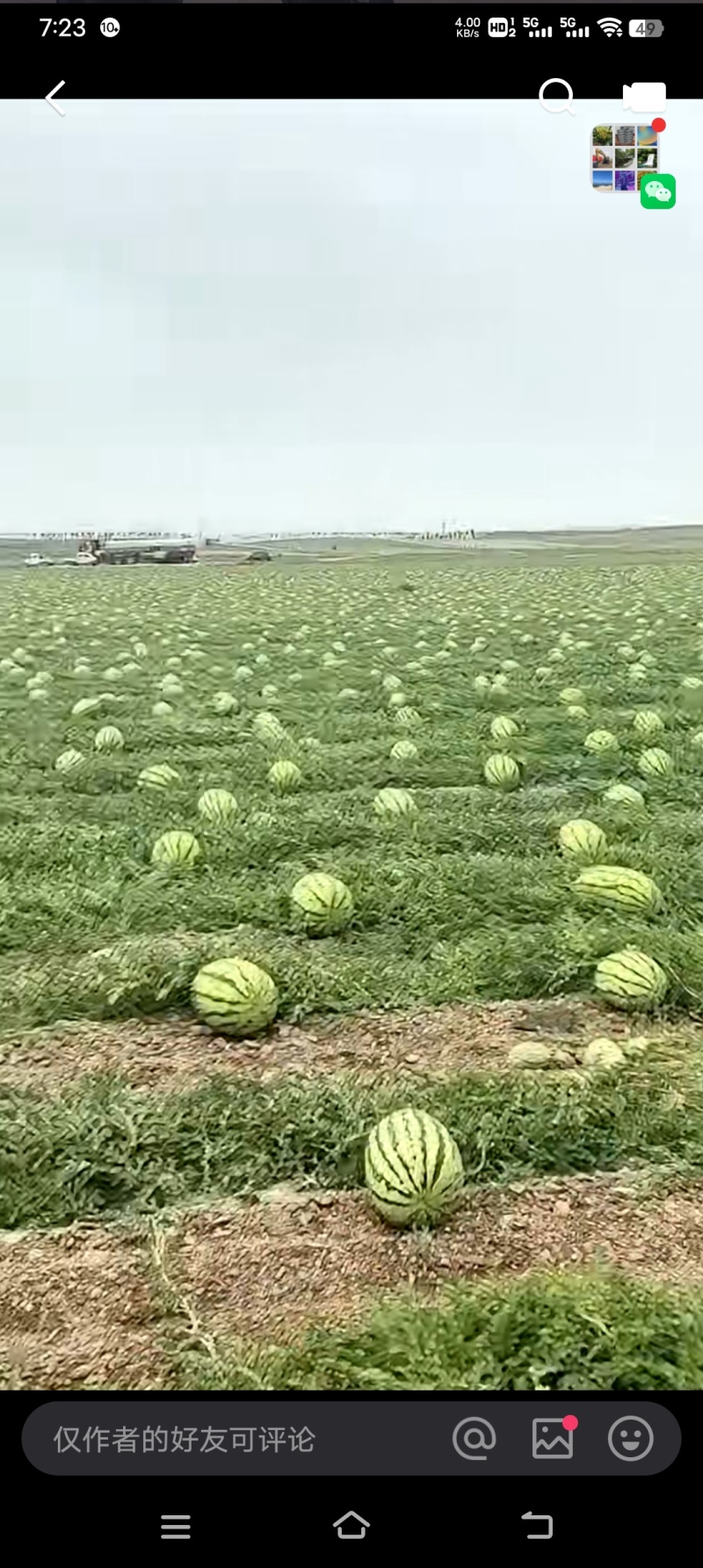 一手货源葱头对接全国，欢迎大家采购