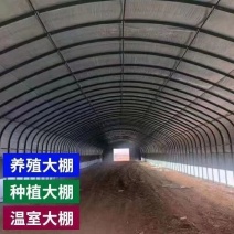 椭圆管养殖大棚全套种植大棚骨架家用温室养鸡棚猪棚牛棚羊棚