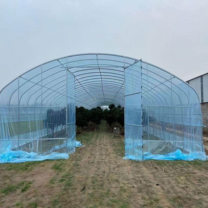 椭圆管养殖大棚全套种植大棚骨架家用温室养鸡棚猪棚牛棚羊棚