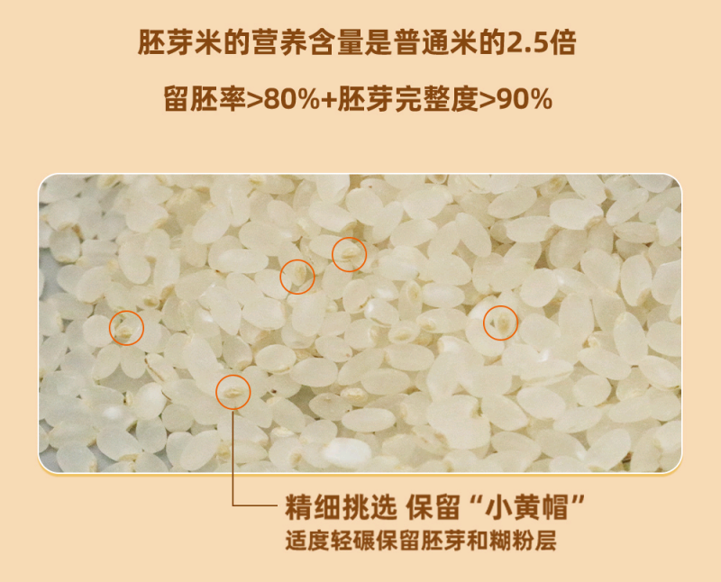 胚芽米