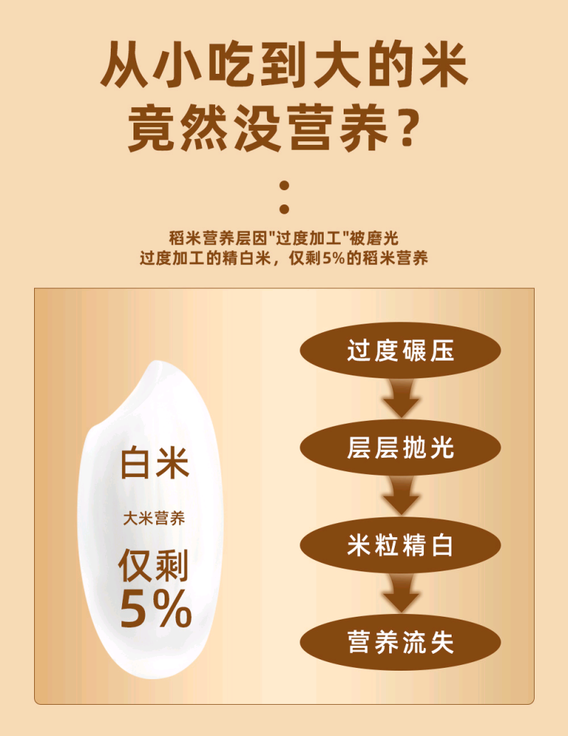 胚芽米