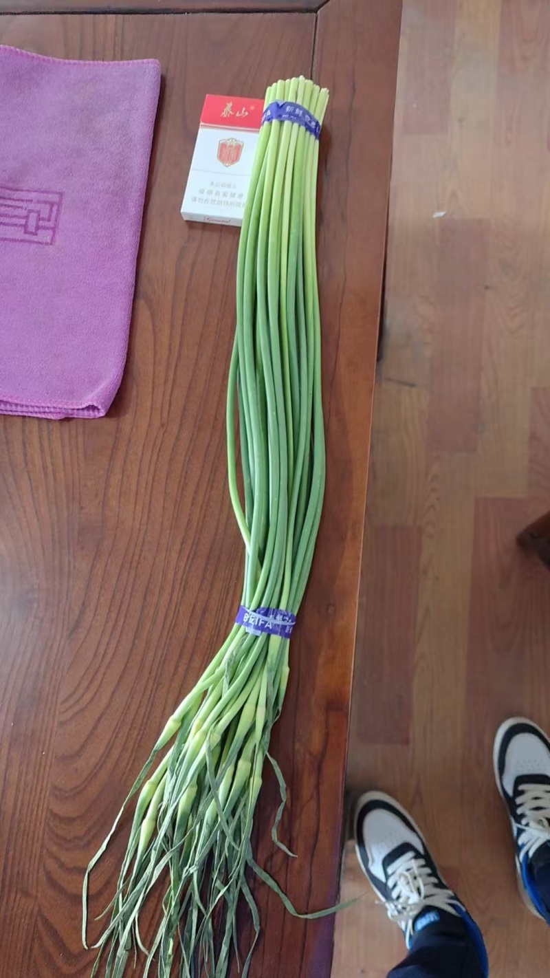 《产地推荐》蒜薹红帽白帽产地供应全国发货保质保量