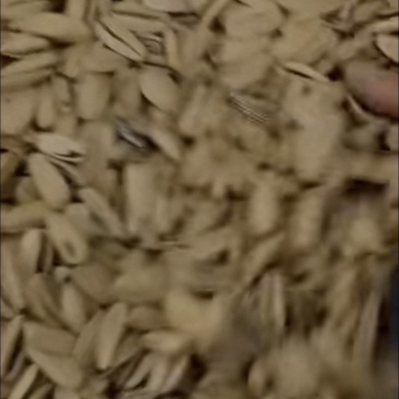脱皮五香，电商货，打手瓜子